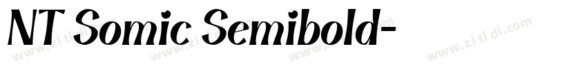 NT Somic Semibold字体转换